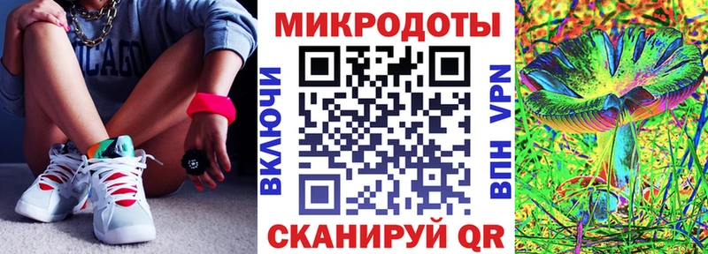 Псилоцибиновые грибы GOLDEN TEACHER  дарк нет наркотические препараты  Гудермес  кракен ТОР 